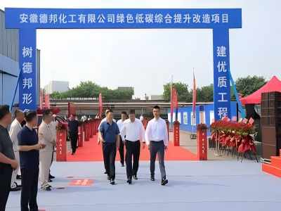 安徽德邦化工有限公司背壓式汽輪發(fā)電機(jī)組節(jié)能技改增效合同能源管理項目